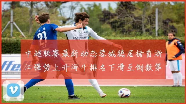 中超联赛最新动态蓉城稳居榜首浙江强势上升海牛排名下滑至倒数第三